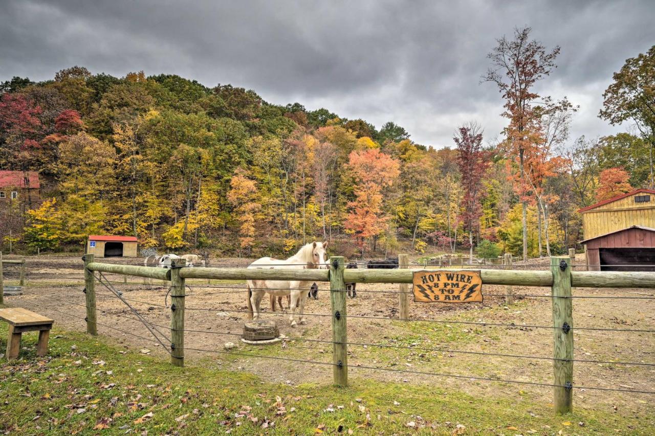 Rustic Clint Eastwood Ranch Apt By Raystown Lake Huntingdon Extérieur photo